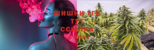 эйфоретик Аркадак