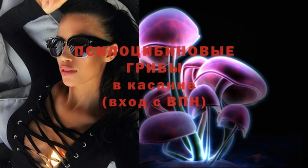 эйфоретик Аркадак
