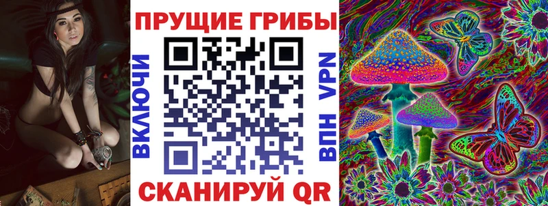 Галлюциногенные грибы Psilocybine cubensis  OMG зеркало  Лихославль  дарнет шоп 